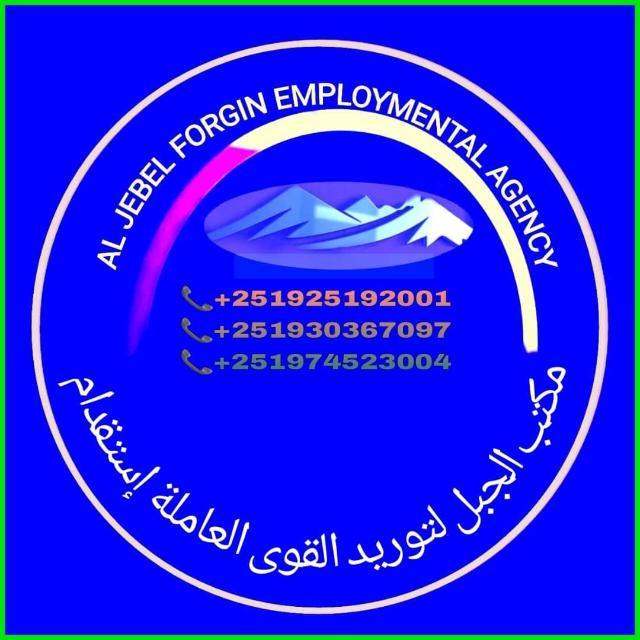 ETHIOPIA MANPOWER SUPPLY +251925192001