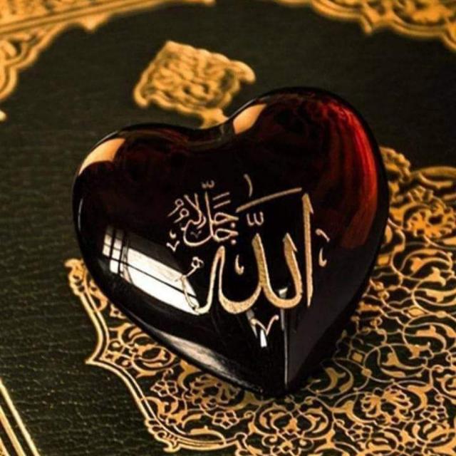 ?????????????????? ??????