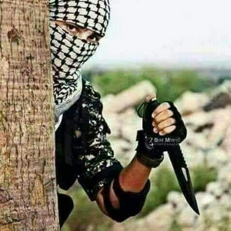 ??غزوہ ہند نیوز??