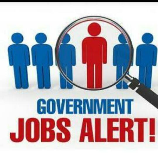 Goverment job (5)🇮🇳✅