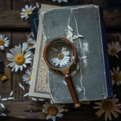 👈🏻ناول📒 اور کہانیاں 📚