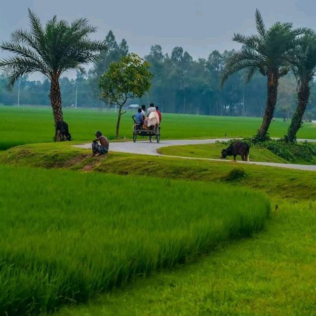 See Group Discription