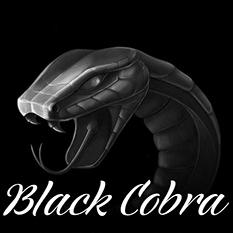 Black beast