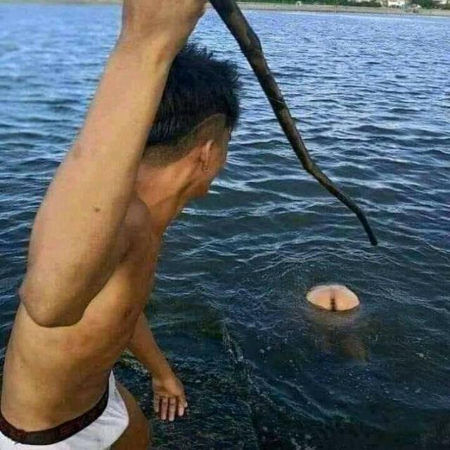 Suriya the king ??✈??