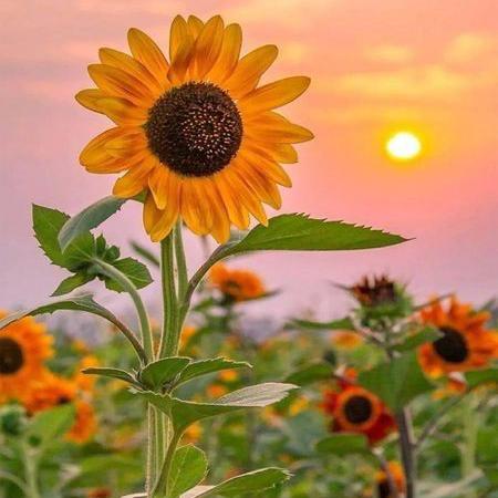 ?☝️ ETERNAL5️⃣WORSHIP?19/24