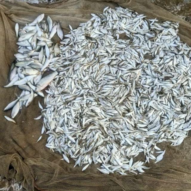 بلوچستانءَ گروپ❤️❤️❤️