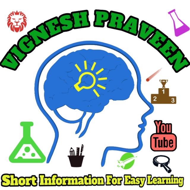 VIGNESH PRAVEEN