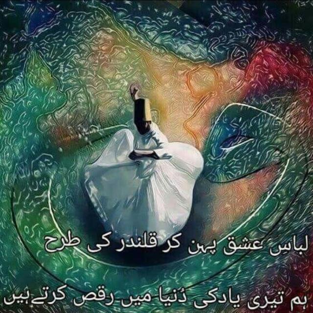 Shayri mera ishq❤️