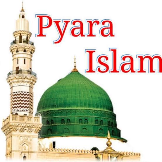 ❤️Pyara Islam❤️