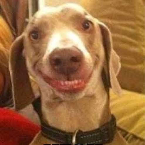 Help center! Need Help?