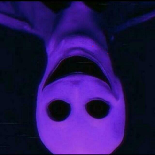 DarkWEB😈☠️👻GoreVDS