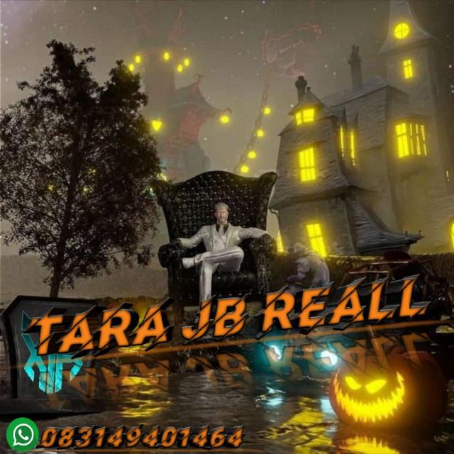 TARA STORE REALL [1464]