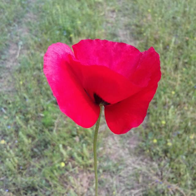 ALL  ❤️SEMESTER❤️❤️?️UPDATE ?️(2023)