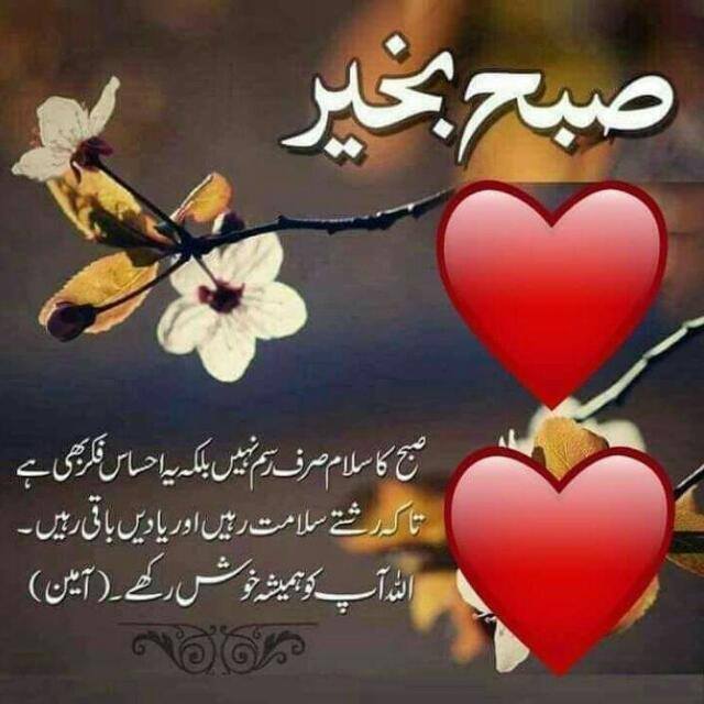 ?SUPER FAST DISH NETWORKS