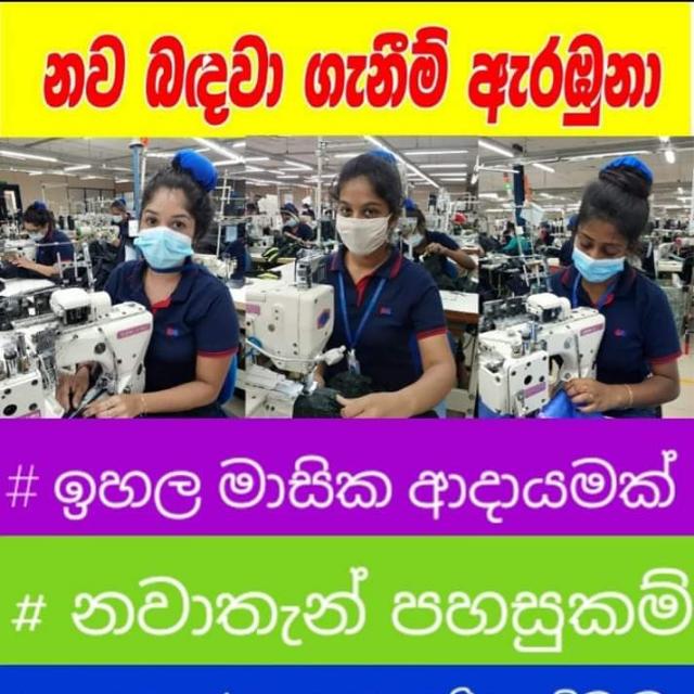 රැකියා පියස