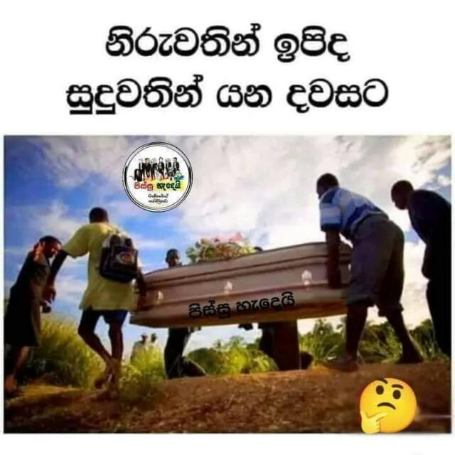 Friends Bro