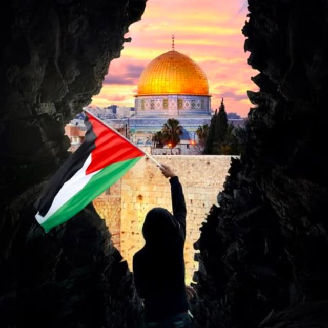 Free Palestine ?????