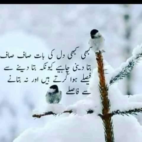 ❤😘Love is life ❤💑
