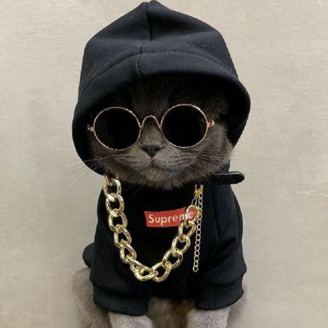 STOK CAL4YOU X GAS4YOU