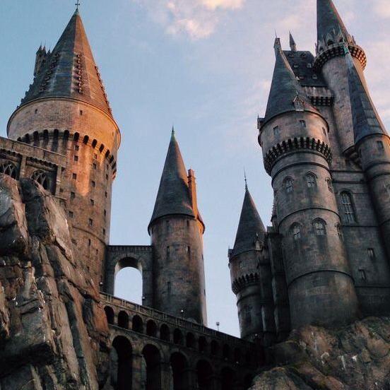 Potterheads??‍♂️?