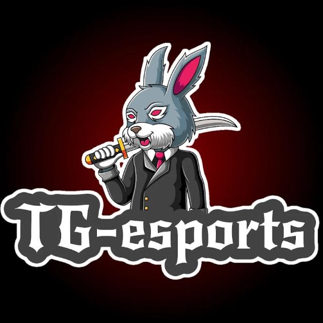 ?? ?????? ?????????????