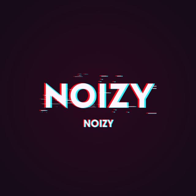 • Noizy_official •