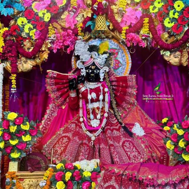 श्री बांकेबिहारीजी परिवार ❤️ वृन्दावन 🌹