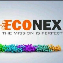 Online Busniess Econex