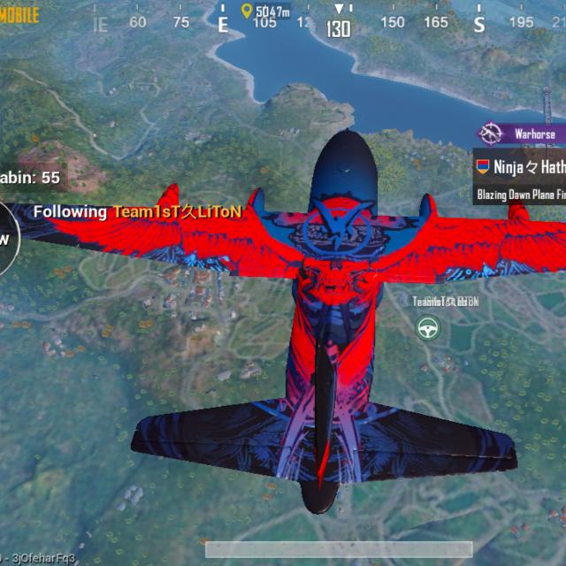 Looking for conqueror pus