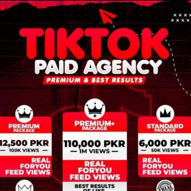 TikTok Paid Video Sponsor