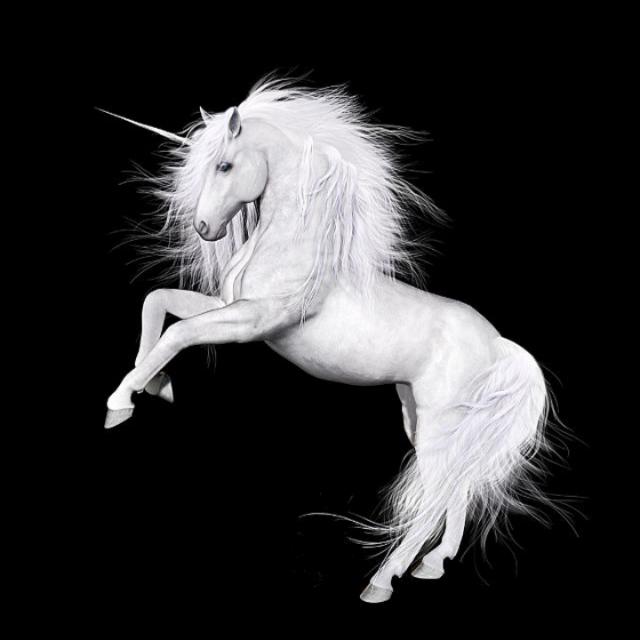 ???..?????__????????..???