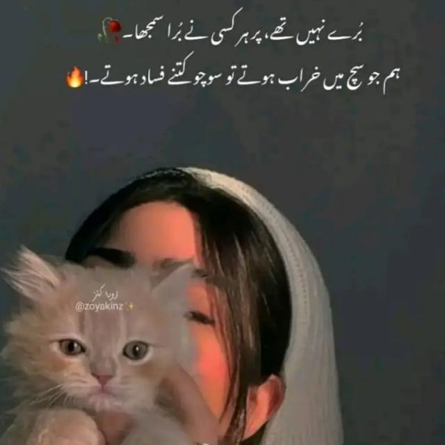 ☆?????? ?????? ???? ?☆