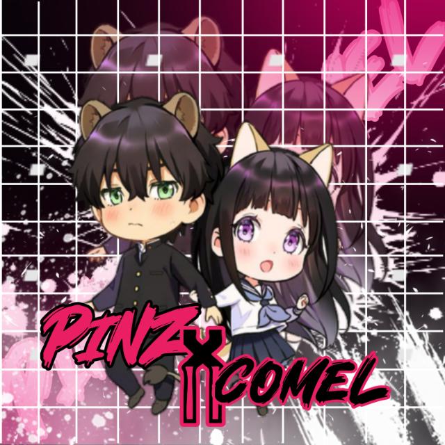 RESS STOK BY PINZZ X COMEL