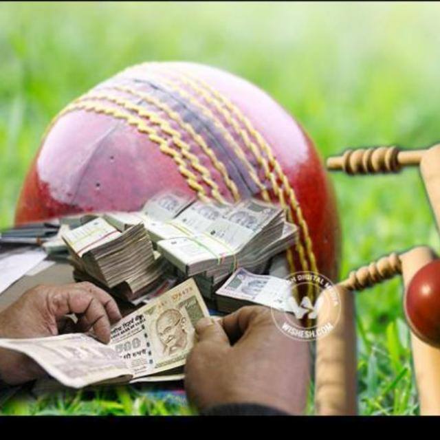 Pi Pi Pi Pi  Buying 1$ each dm