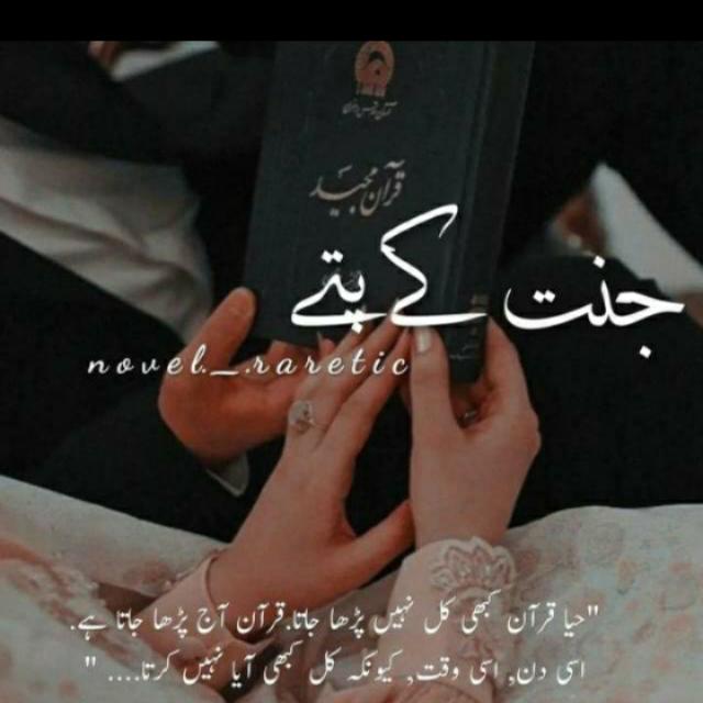 جنت کے پتے(ناول)