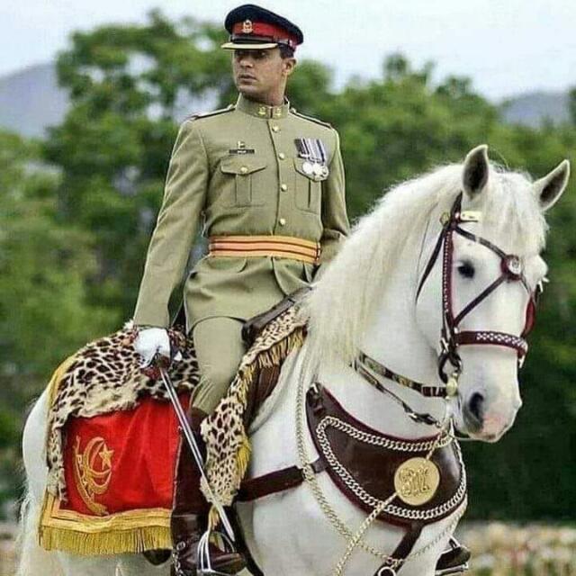 ????TCC 37th preparation????