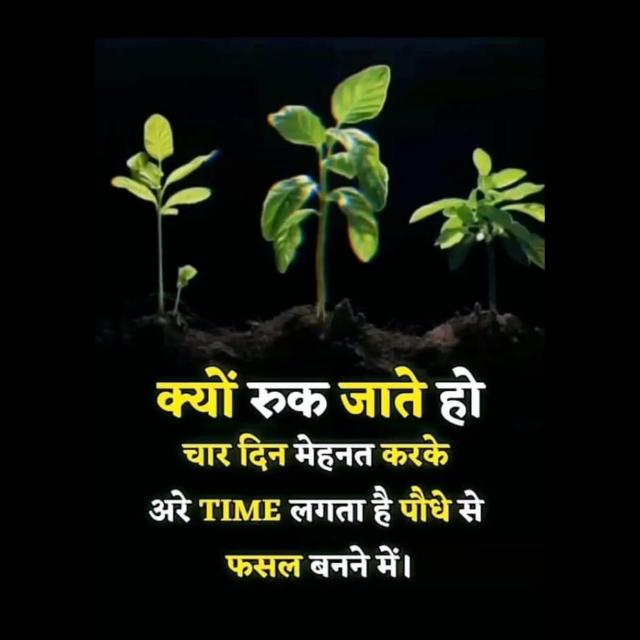 ✈️RSGIO29 FUTURE PLAN ✈️