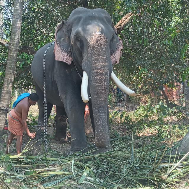 ?ശിവരാജുവും ?പിള്ളേരും✨❣️?