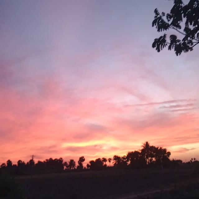 தமிழ்