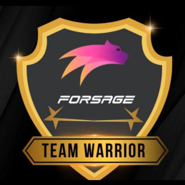 Team werrior Network marketing. forsage 🐅