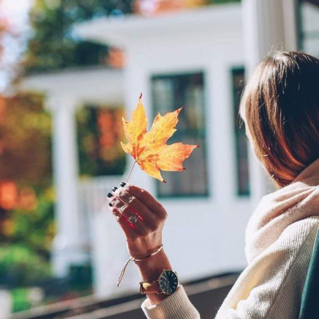 TARIQ GROUP 2 ??????