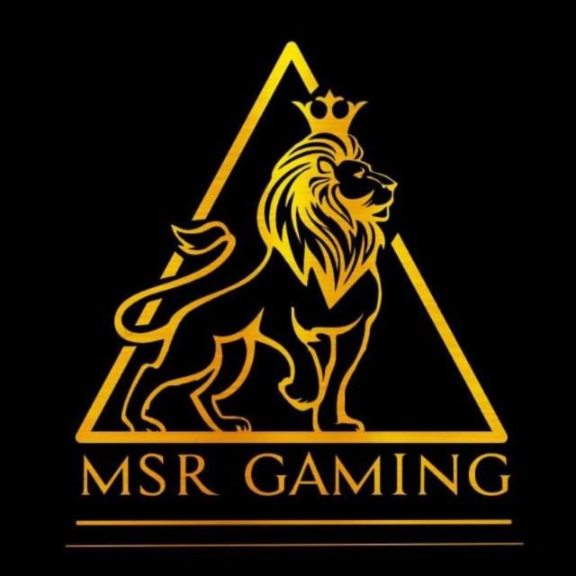 🔰MSR GAMING PUBLIC GROUP🔰