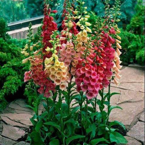 ????????????????????????