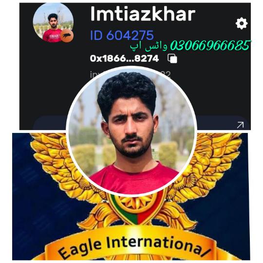 FORESAGE ONLINE EARNING