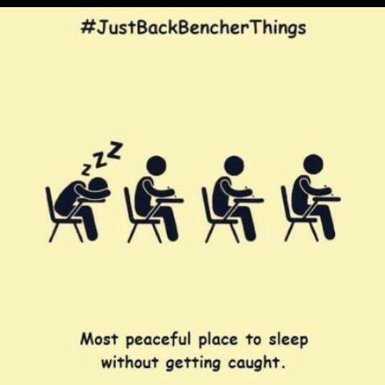 Back Benchers