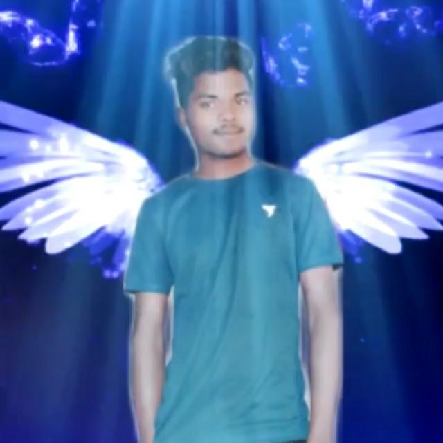 ?male escort services?