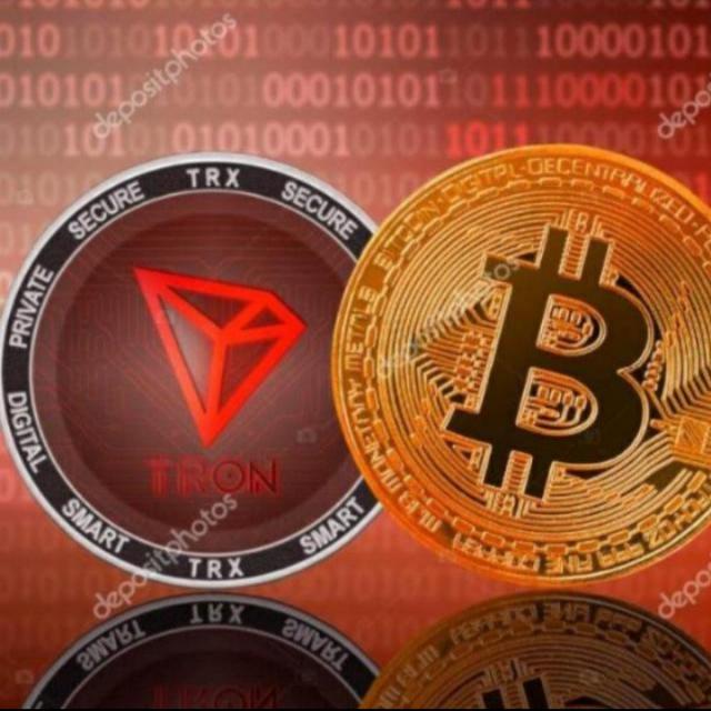 ⚜️?????? ???? ???⚜️