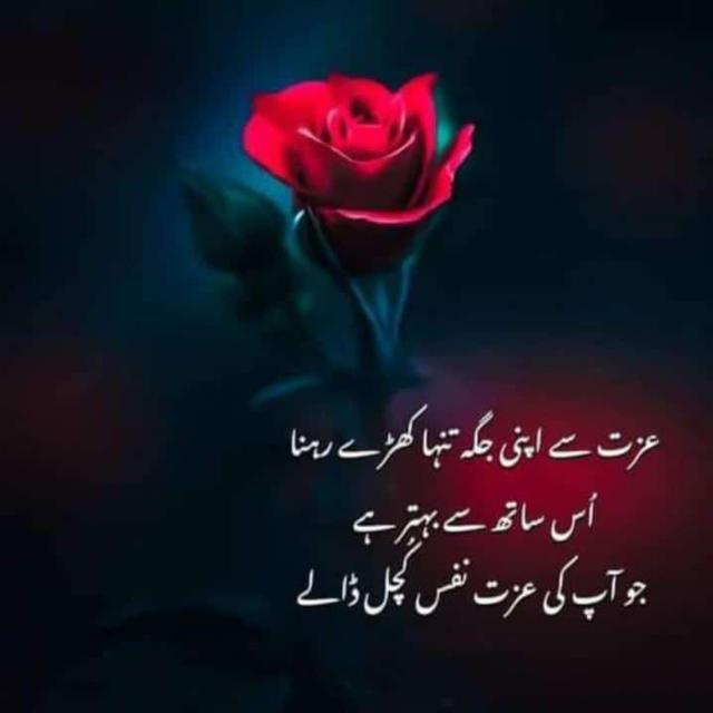 ???????????‍?‍?‍?????‍?‍?‍???????????‍?‍?‍???