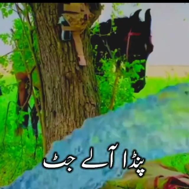 پنڈا آلے 