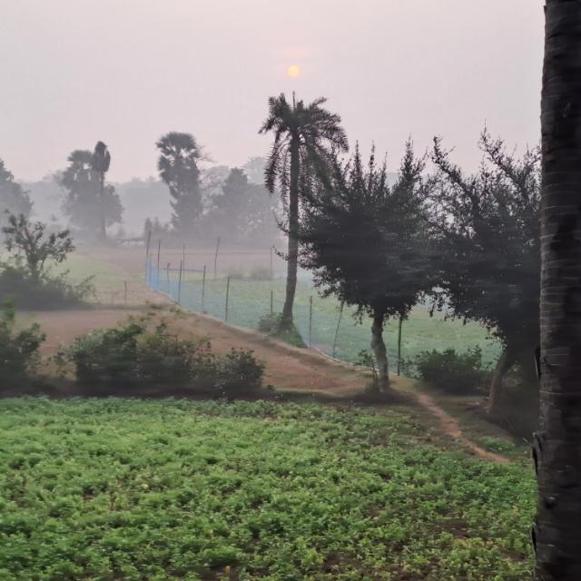 Habibi Welcome to Odisha